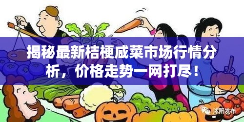 揭秘最新桔梗咸菜市场行情分析，价格走势一网打尽！