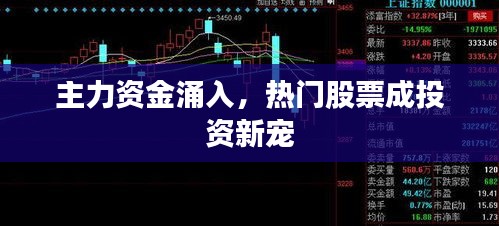 主力资金涌入，热门股票成投资新宠