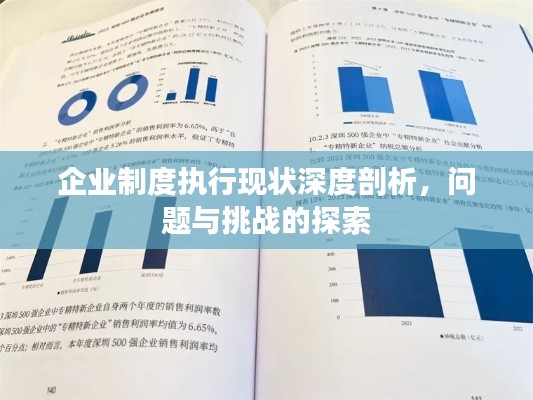 企业制度执行现状深度剖析，问题与挑战的探索