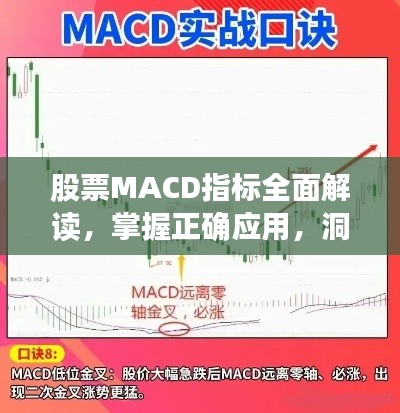 股票MACD指标全面解读，掌握正确应用，洞悉股市动向！