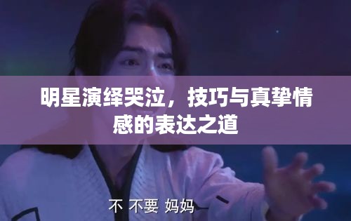 明星演绎哭泣，技巧与真挚情感的表达之道