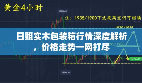 日照实木包装箱行情深度解析，价格走势一网打尽