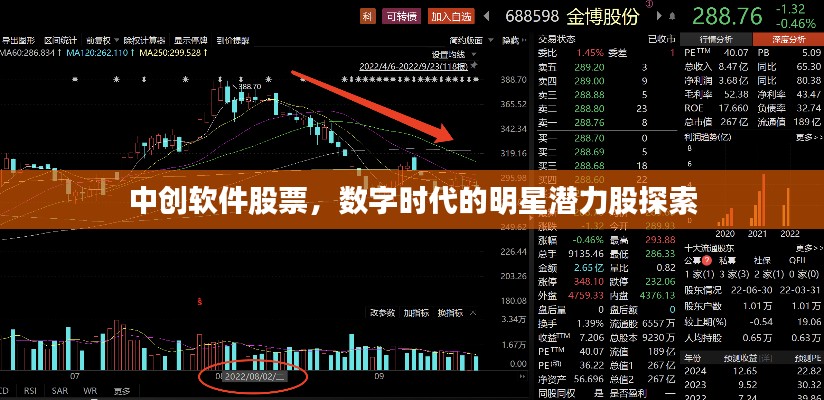 中创软件股票，数字时代的明星潜力股探索