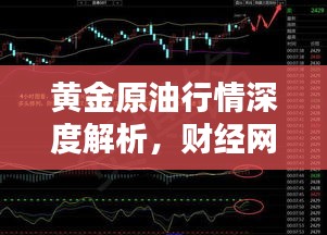 黄金原油行情深度解析，财经网独家分析