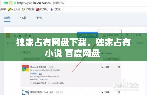 独家占有网盘下载，独家占有小说 百度网盘 