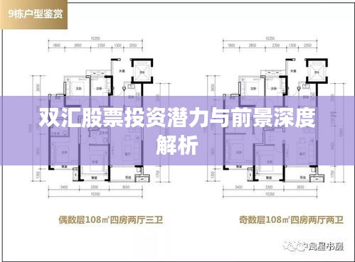 双汇股票投资潜力与前景深度解析