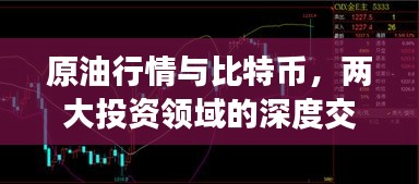 原油行情与比特币，两大投资领域的深度交融与相互影响