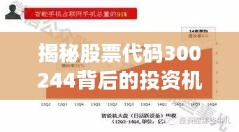 揭秘股票代码300244背后的投资机会与挑战，深度探讨股票交流心得