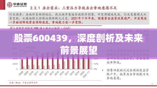 股票600439，深度剖析及未来前景展望