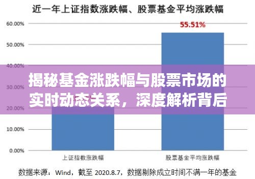 揭秘基金涨跌幅与股票市场的实时动态关系，深度解析背后的关联与影响