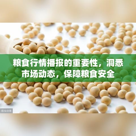 粮食行情播报的重要性，洞悉市场动态，保障粮食安全