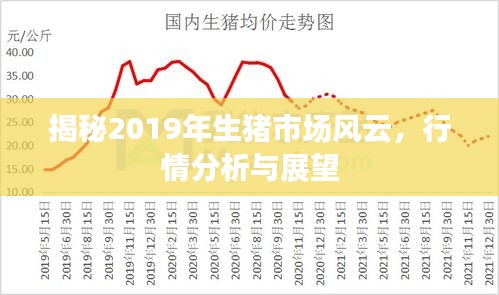 揭秘2019年生猪市场风云，行情分析与展望