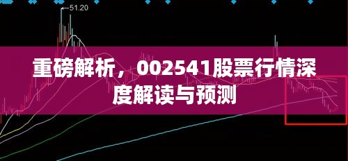 重磅解析，002541股票行情深度解读与预测