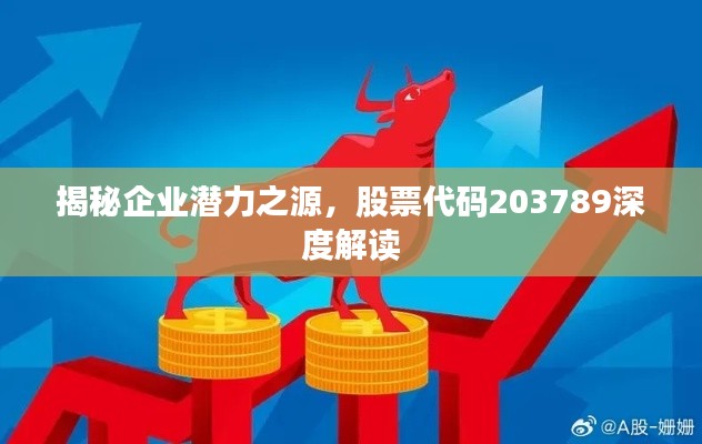 揭秘企业潜力之源，股票代码203789深度解读