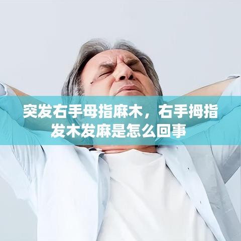 突发右手母指麻木，右手拇指发木发麻是怎么回事 