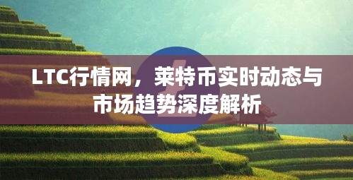 LTC行情网，莱特币实时动态与市场趋势深度解析