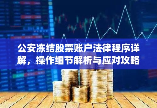 公安冻结股票账户法律程序详解，操作细节解析与应对攻略