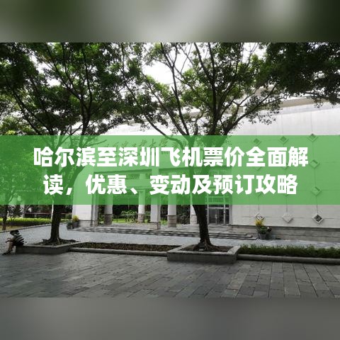 哈尔滨至深圳飞机票价全面解读，优惠、变动及预订攻略