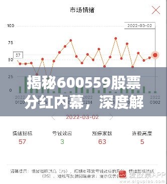 揭秘600559股票分红内幕，深度解析与预测