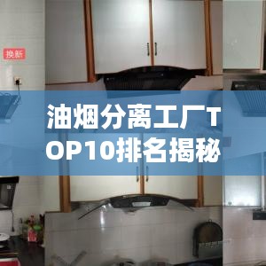 油烟分离工厂TOP10排名揭秘，行业领军者一览无余