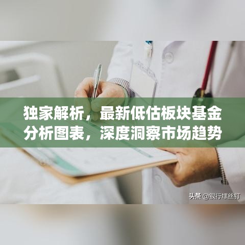 独家解析，最新低估板块基金分析图表，深度洞察市场趋势