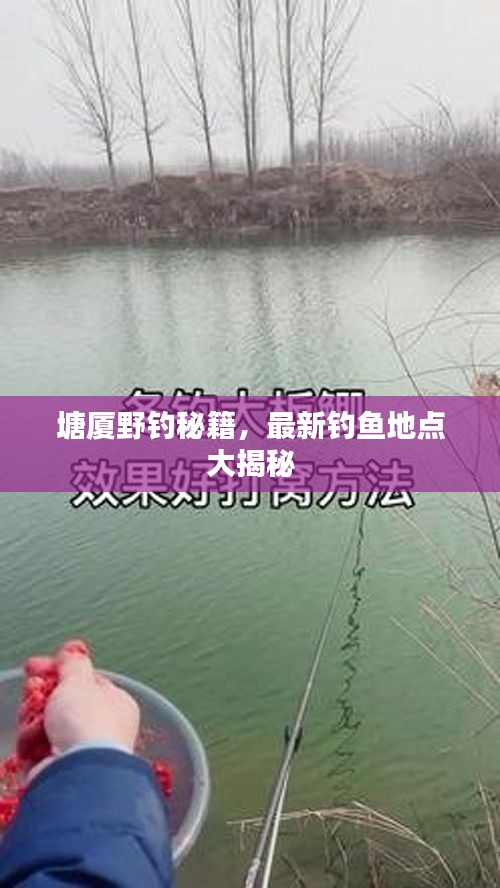 塘厦野钓秘籍，最新钓鱼地点大揭秘