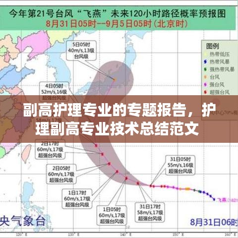 副高护理专业的专题报告，护理副高专业技术总结范文 