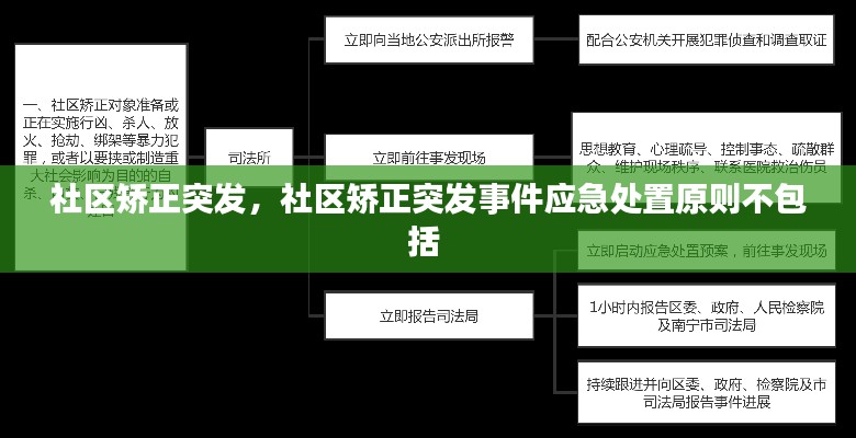 社区矫正突发，社区矫正突发事件应急处置原则不包括 