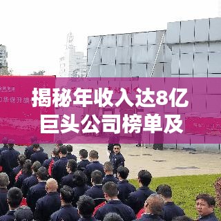 揭秘年收入达8亿巨头公司榜单及影响力不容小觑！