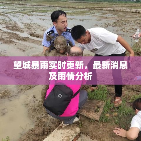 望城暴雨实时更新，最新消息及雨情分析