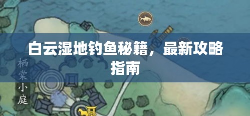 白云湿地钓鱼秘籍，最新攻略指南