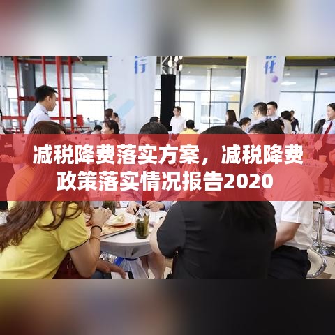 减税降费落实方案，减税降费政策落实情况报告2020 