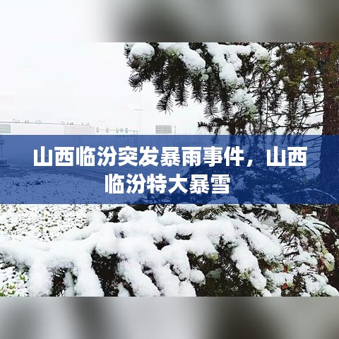 山西临汾突发暴雨事件，山西临汾特大暴雪 