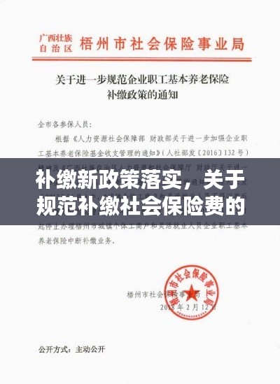 补缴新政策落实，关于规范补缴社会保险费的通知 