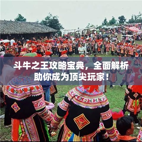 斗牛之王攻略宝典，全面解析助你成为顶尖玩家！