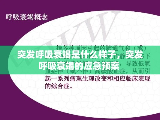 突发呼吸衰竭是什么样子，突发呼吸衰竭的应急预案 