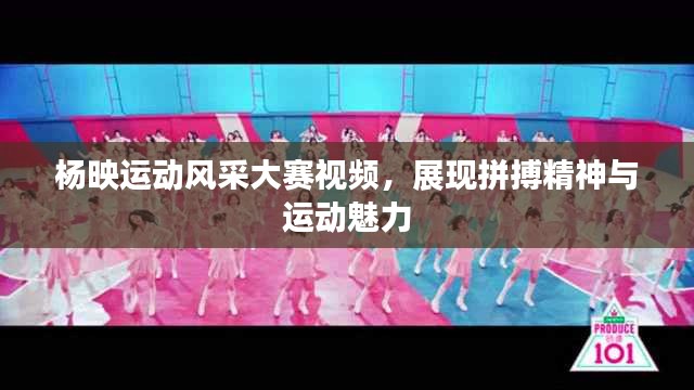 杨映运动风采大赛视频，展现拼搏精神与运动魅力