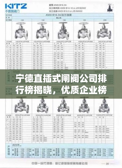 宁德直插式闸阀公司排行榜揭晓，优质企业榜单不容错过！