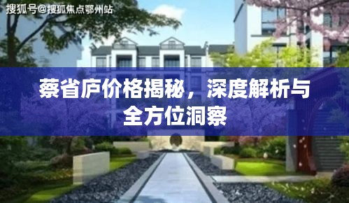 蔡省庐价格揭秘，深度解析与全方位洞察