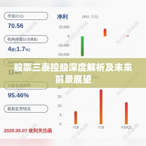 股票三泰控股深度解析及未来前景展望