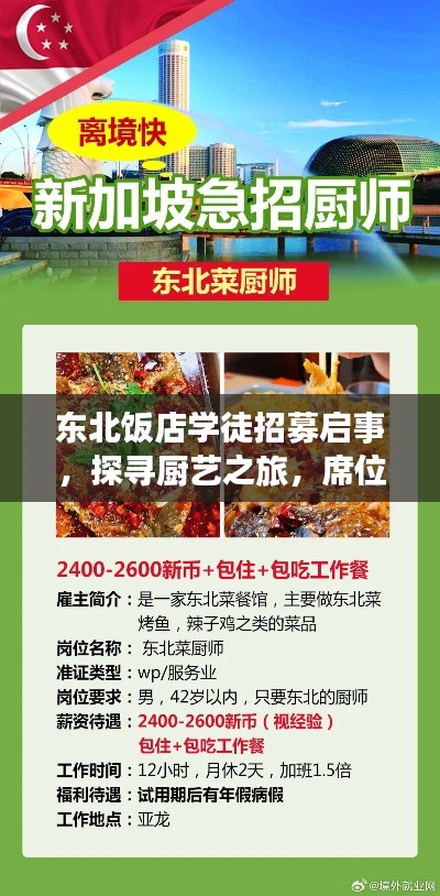 东北饭店学徒招募启事，探寻厨艺之旅，席位有限，速来报名！