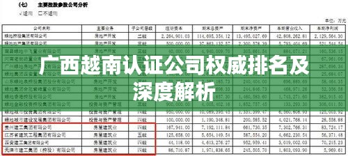 广西越南认证公司权威排名及深度解析