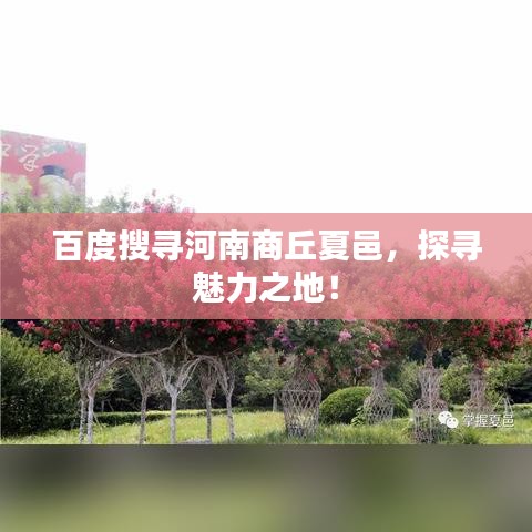 百度搜寻河南商丘夏邑，探寻魅力之地！