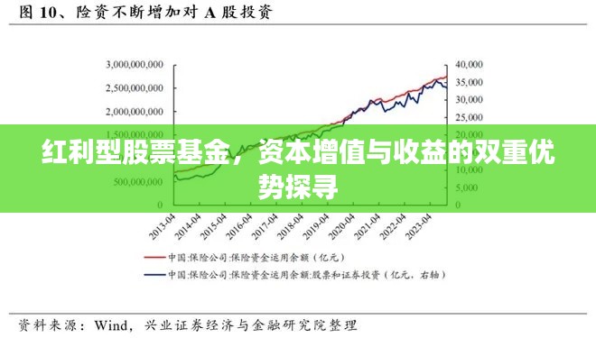 红利型股票基金，资本增值与收益的双重优势探寻