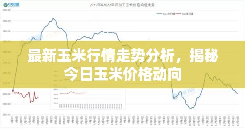 最新玉米行情走势分析，揭秘今日玉米价格动向