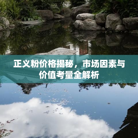 正义粉价格揭秘，市场因素与价值考量全解析