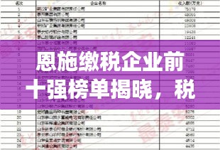 恩施缴税企业前十强榜单揭晓，税收贡献助力经济发展双轮驱动