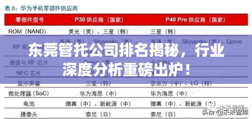 东莞管托公司排名揭秘，行业深度分析重磅出炉！