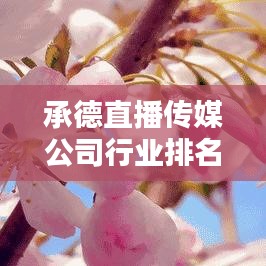 承德直播传媒公司行业排名深度解析及行业趋势分析