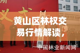 黄山区林权交易行情解读，最新林业市场动态查询指南